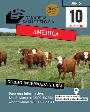 Remate Gordo, Invernada y Cría en América