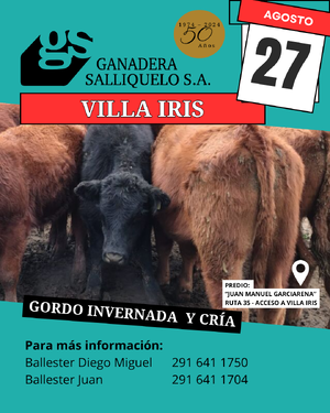 REMATE EN VILLA IRIS