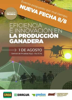 Eficiencia e innovación en la producción ganadera