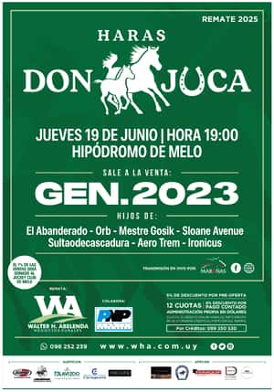 Haras Don Juca