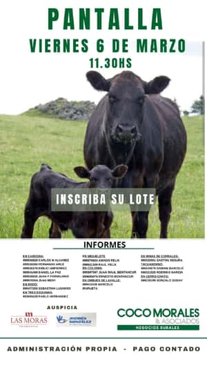 Imagen Remate Virtual