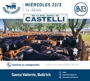 Feria en Castelli