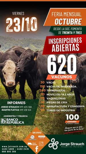 Feria mensual - Jorge Strauch