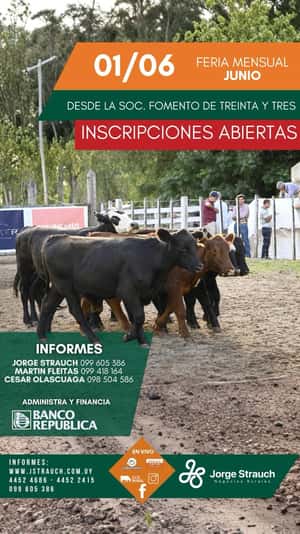 Feria Mensual - Jorge Strauch
