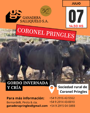 REMATE EN CORONEL PRINGLES