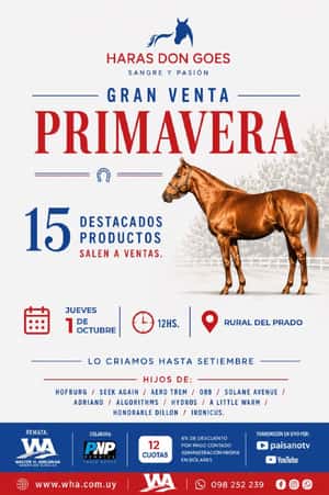 Haras Don Goes