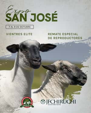Remate Especial de reproductores