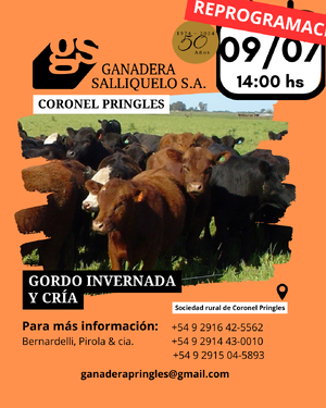 REMATE EN CORONEL PRINGLES