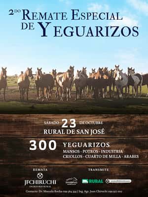 2do Remate Espacial de Yeguarizos