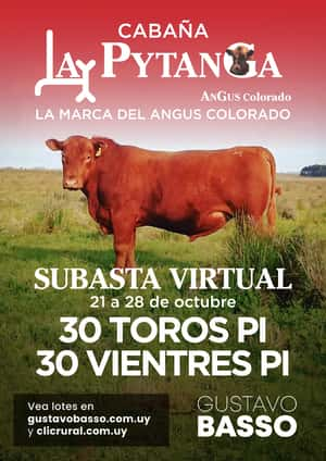 Primer subasta virtual - Cabaña La Pytanga