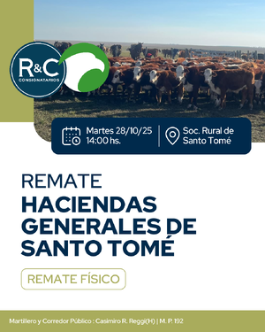 Remate Haciendas Generales de Santo Tomé