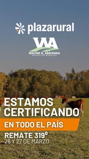 319º remate Plaza Rural