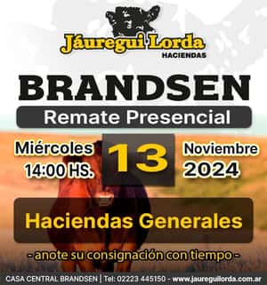 Remate en Brandsen, Miércoles 13 de Noviembre