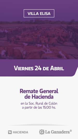 REMATE FERIA EN SOCIEDAD RURAL DE COLON