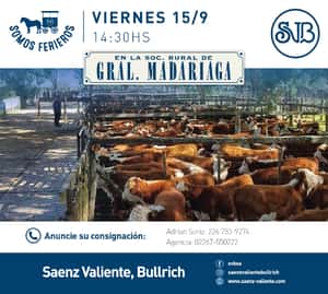 FERIA EN GRAL. MADARIAGA