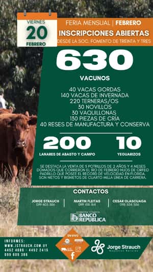 Feria Mensual - Jorge Strauch