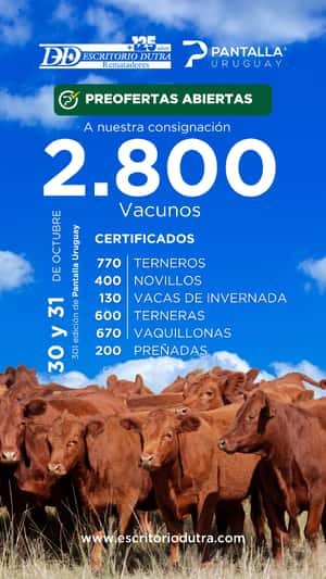 301º remate Pantalla Uruguay