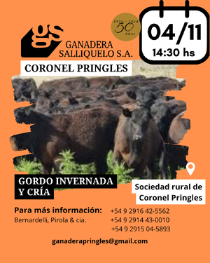 REMATE EN CORONEL PRINGLES