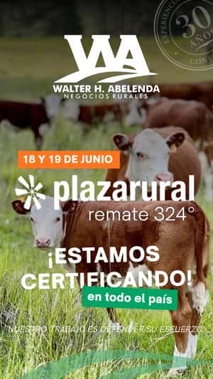 324º remate Plaza Rural