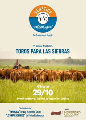 Toros para las Sierras