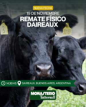 Remate Físico en Daireaux