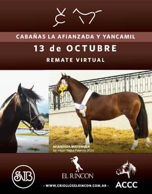 Remate virtual Cabañas La Afianzada y Yancamil