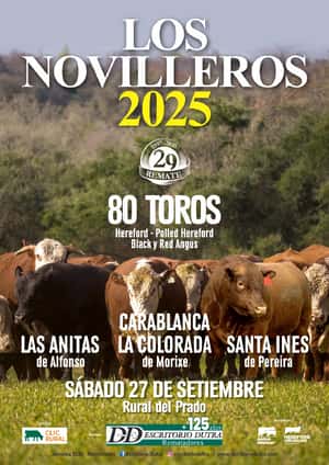 Los Novilleros
