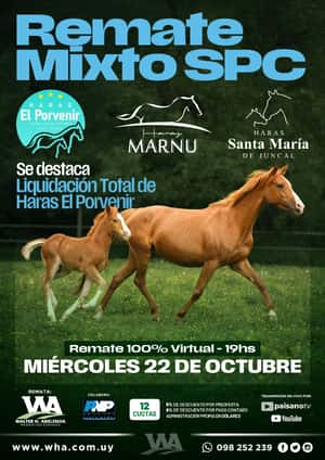 Remate Mixto SPC