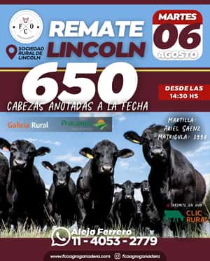 Remate en Lincoln, Martes 6 de Agosto 