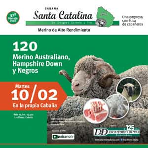 Santa Catalina de Douglas Cortela