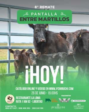 8º Remate Pantalla Entre Martillos 