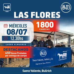 Feria en Las Flores