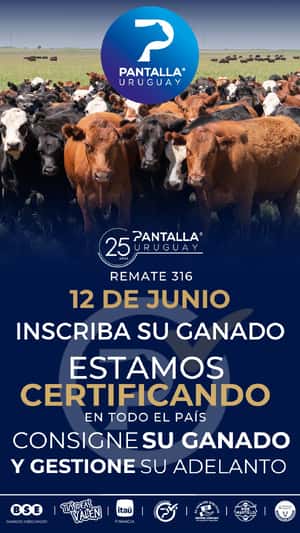316º remate Pantalla Uruguay