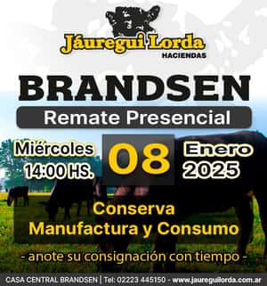 08 de Enero - Brandsen