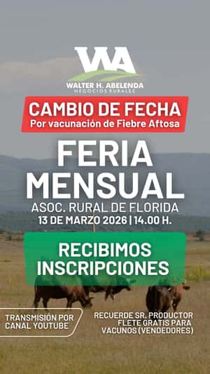 Feria Mensual - WHA