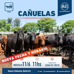 Feria en Cañuelas