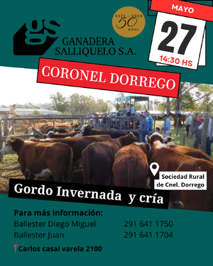 Remate en Coronel Dorrego