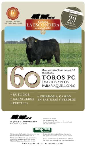 Remate Físico Cabaña La Escondida