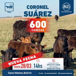 Feria en Cnel. Suárez