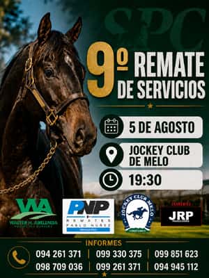 9º Remate de Servicios