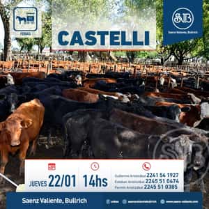 Feria en Castelli