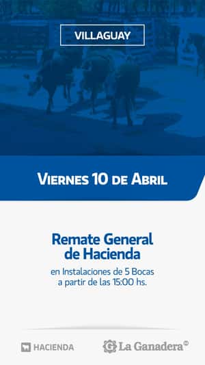 REMATE FERIA 5 BOCAS - PASO DE LA LAGUNA