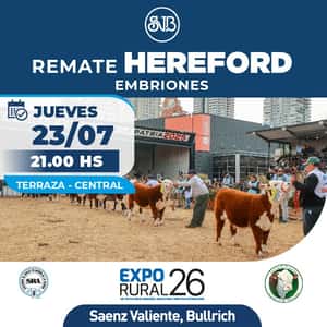 Hereford - Embriones
