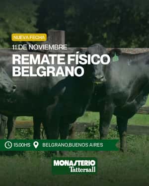 Remate Físico en General Belgrano 