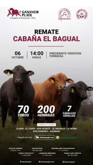 Remate Cabaña El Bagual 