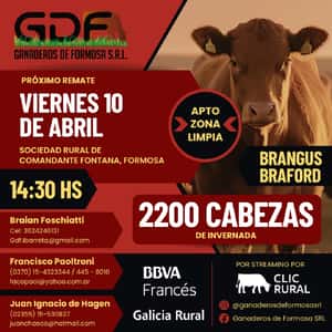 GDF - Comandante Fontana