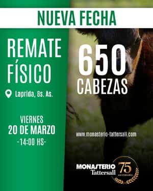 Remate Físico Laprida