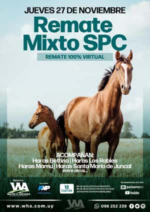 Remate Mixto SPC