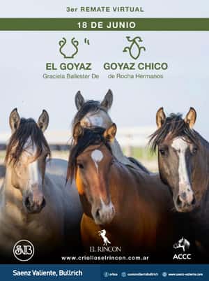El Goyaz y Goyaz Chico