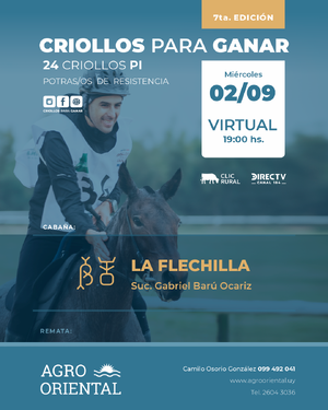 La Flechilla